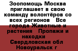 Зоопомощь.Москва приглашает в свою команду волонтёров со всех регионов - Все города Животные и растения » Пропажи и находки   . Свердловская обл.,Новоуральск г.